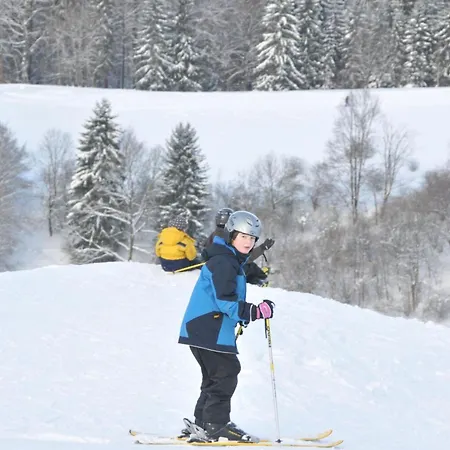 Apartment Mit Garten Und Spielplatznutzung By Interhome Braunlage