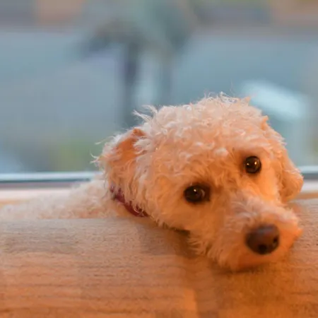 Mit Garten Und Spielplatznutzung By Interhome Apartment