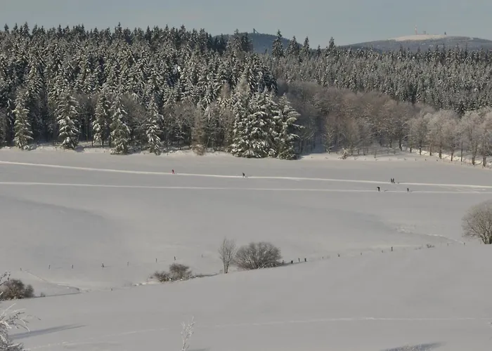 Apartment Mit Garten Und Spielplatznutzung By Interhome Braunlage