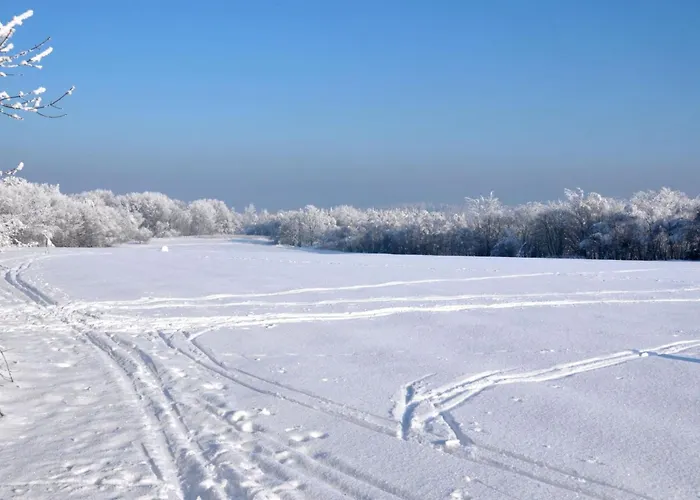 Mit Garten Und Spielplatznutzung By Interhome *