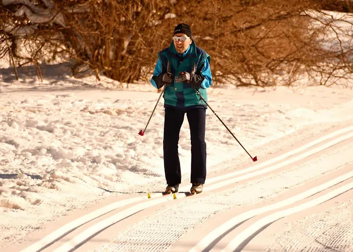Mit Garten Und Spielplatznutzung By Interhome Braunlage